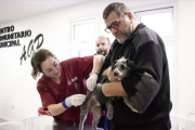 Exitosa jornada de adopción, vacunación y chipeo en el barrio AGP