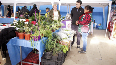 “El Mercado en tu Barrio” vuelve con una nueva edición en Río Grande