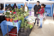 “El Mercado en tu Barrio” vuelve con una nueva edición en Río Grande