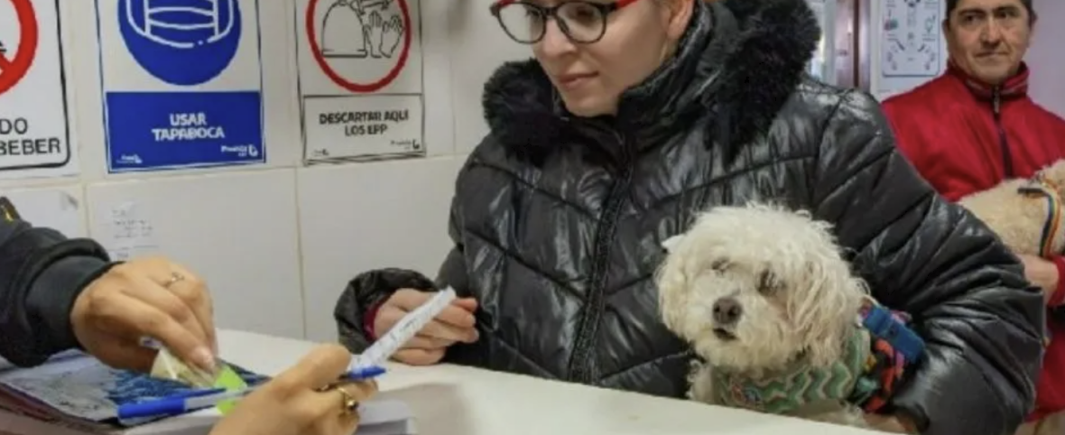 Más de 250 intervenciones en una nueva jornada de bienestar animal en Río Grande