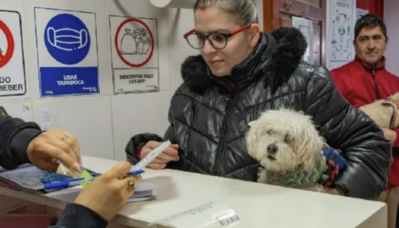 Más de 250 intervenciones en una nueva jornada de bienestar animal en Río Grande