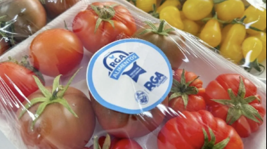 RGA Alimentos comercializa tomates agroecológicos en Ushuaia