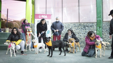 Este domingo se realizará una nueva jornada de adopción responsable de mascotas