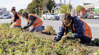 Trabajan en la renovación de los espacios públicos de Río Grande