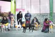 Este domingo se realizará una nueva jornada de adopción responsable de mascotas