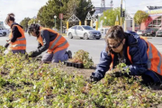 Trabajan en la renovación de los espacios públicos de Río Grande
