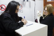 Más de 140 mascotas recibieron la vacuna antirrábica en una nueva jornada de salud animal